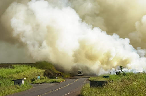 As queimadas estão entre os fatores que levam o OC a apostar em um novo aumento na emissão de gases. (Fonte: Jair Ferreira Belafface/Shutterstock/reprodução)
