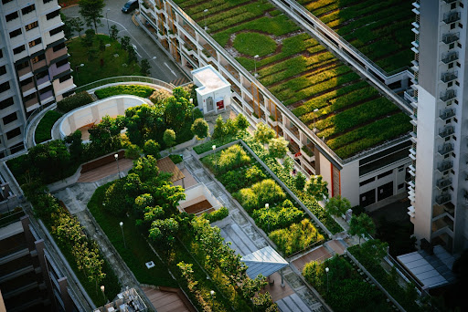 Os telhados verdes ajudam a reduzir a temperatura interna e externa. (Unsplash/Reprodução)