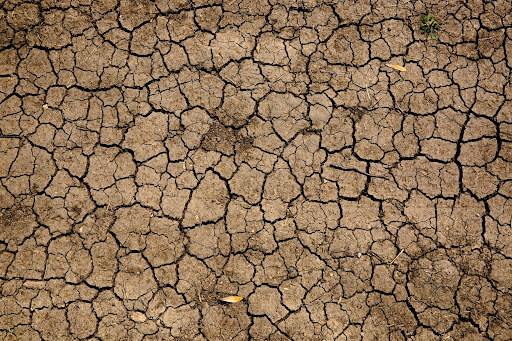 A elevação da temperatura da terra altera o ritmo das chuvas e faz com que secas comecem a se tornar cada vez mais frequentes. (Unsplash/Reprodução)