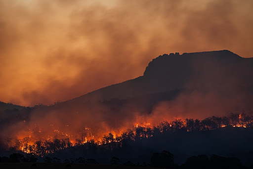 O aquecimento global agrava os incêndios nas florestas. ( Fonte: Unsplash/Reprodução)