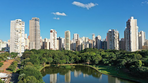 No quesito taxa de arborização, Goiânia é a cidade mais verde do Brasil. (Fonte: Shutterstock/Reprodução)